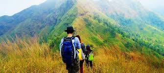 Munnar Weekend Tour Packages | call 9899567825 Avail 50% Off